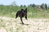 STAFFIE 035